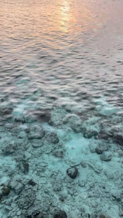 Dusit Thani Maldives в июне — фото погоды (2026-06-04)
