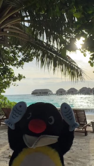 Dusit Thani Maldives в июне — фото погоды (2026-06-08)