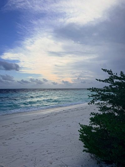Dusit Thani Maldives в июне — фото погоды (2026-06-15)