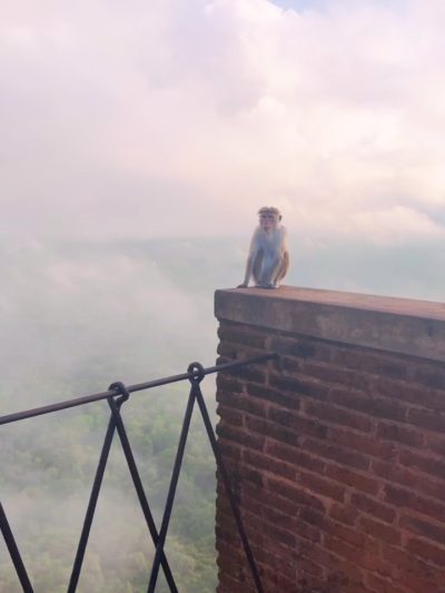 Citadel of Sigiriya - Lion's Rock, Sri Lanka в феврале — фото погоды (2026-02-01)