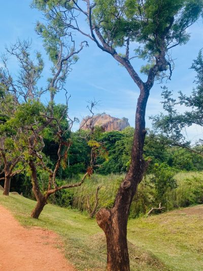 Citadel of Sigiriya - Lion's Rock, Sri Lanka в июне — фото погоды (2026-06-27)
