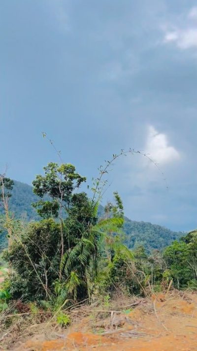 Genting Highlands - Midhills в июне — фото погоды (2026-06-10)