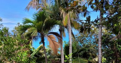 Coco De Mer hotel,Praslin — фото погоды в июне (2025-06-28)
