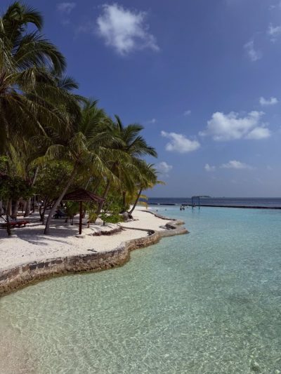 Ellaidhoo Resort by Cinnamon — фото погоды в январе (2026-01-24)