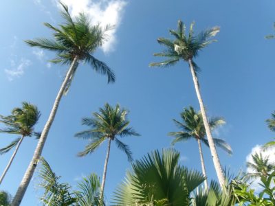 Nacpan Beach Glamping, Resort, and Villas — фото погоды в мае (2026-05-09)
