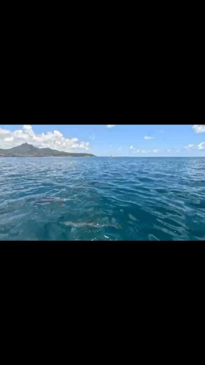 Mauritius Ile Aux Cerfs в ноябре — фото погоды (2025-11-01)