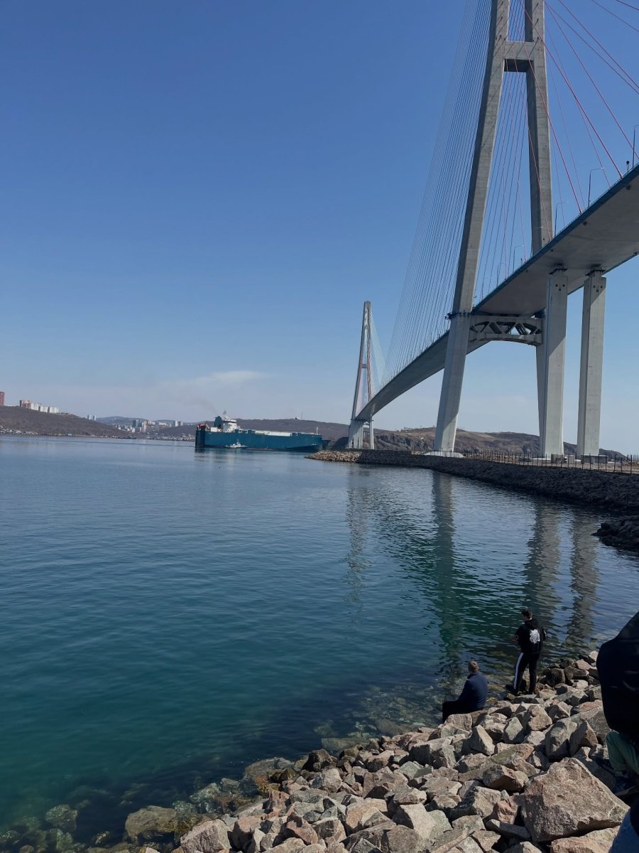 Погода в Остров Русский Владивосток Приморский Край