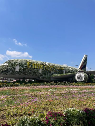 Miracle Garden,Dubai в апреле — фото погоды (2026-04-17)