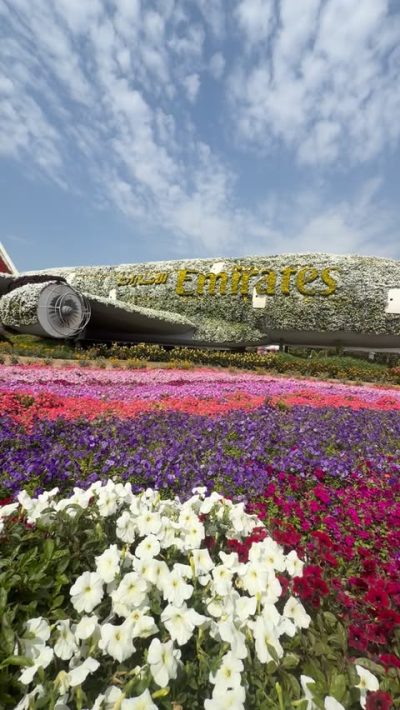 Miracle Garden,Dubai в апреле — фото погоды (2026-04-19)
