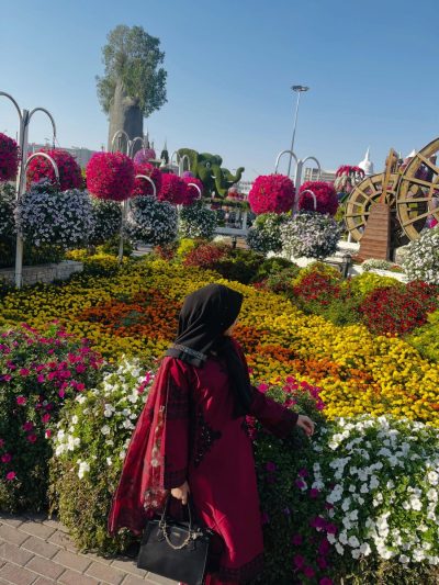Miracle Garden,Dubai в июне — фото погоды (2026-06-03)
