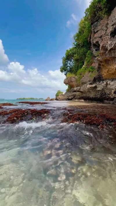 Bacardi Island Samana Dominican Republic в августе — фото погоды (2025-08-20)