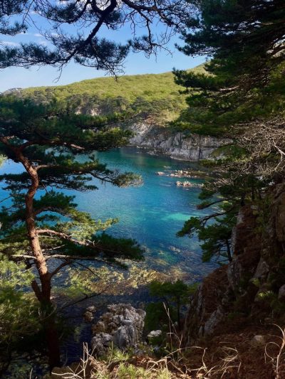 Полуостров Гамова в мае — фото погоды (2026-05-10)