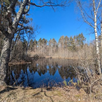 Станция-Приозерск в апреле — фото погоды (2026-04-19)