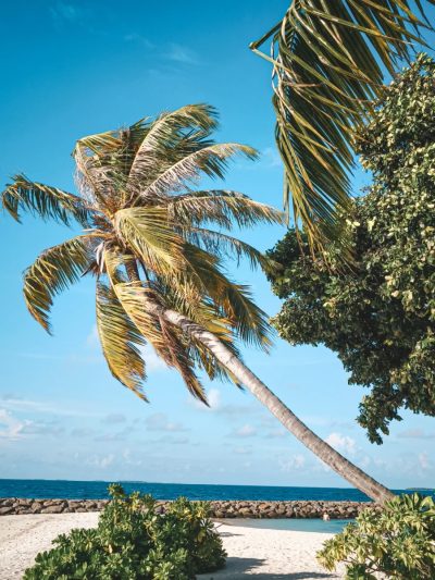 Dharavandhoo, Maldive в октябре — фото погоды (2025-10-10)