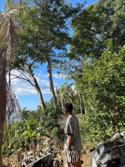 Nosy Comba Madagascar в ноябре — фото погоды (2025-11-27)