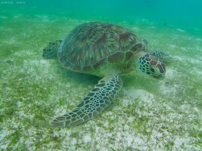 kuredo island resort Maldives — фото погоды в сентябре (2025-09-25)