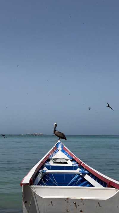 Bahia de Pampatar. Margarita в мае — фото погоды (2026-05-29)