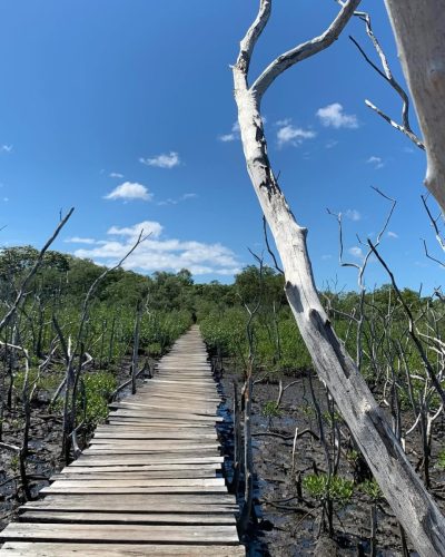 Playa Avellanas, Gte, Costa Rica в январе — фото погоды (2024-01-02)