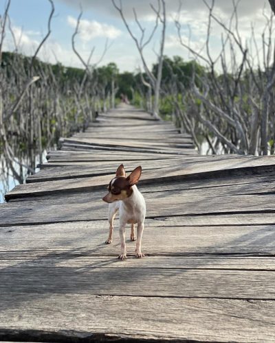 Playa Avellanas, Gte, Costa Rica в июле — фото погоды (2024-07-29)