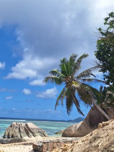 Anse Source D'argent-La Digue в мае — фото погоды (2026-05-31)