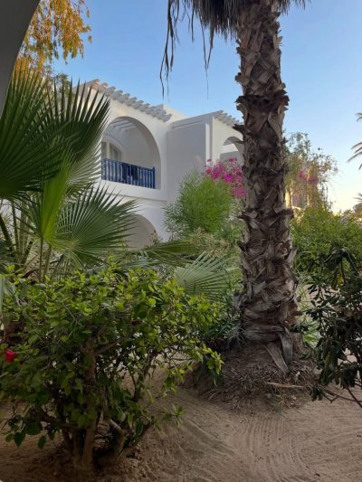 Club Med Djerba La Douce в августе — фото погоды (2025-08-19)