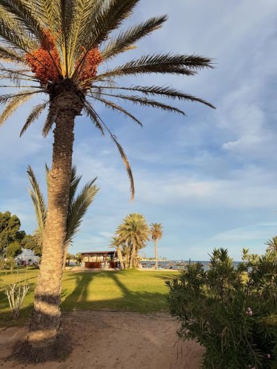 Club Med Djerba La Douce в октябре — фото погоды (2025-10-01)