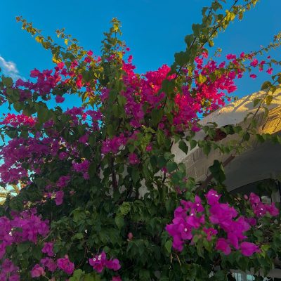 Club Med Djerba La Douce в октябре — фото погоды (2025-10-29)