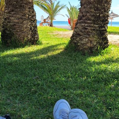Club Med Djerba La Douce в ноябре — фото погоды (2025-11-27)