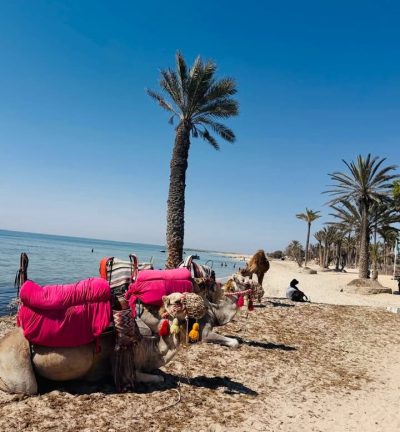 Club Med Djerba La Douce в июле — фото погоды (2026-07-12)