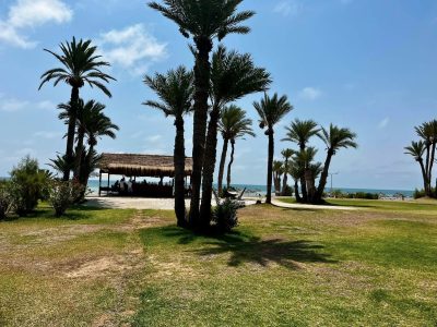 Club Med Djerba La Douce в июле — фото погоды (2026-07-13)