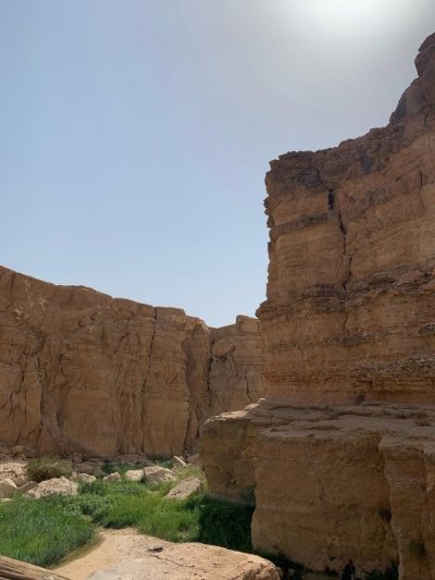 Тозер в августе — фото погоды (2025-08-25)