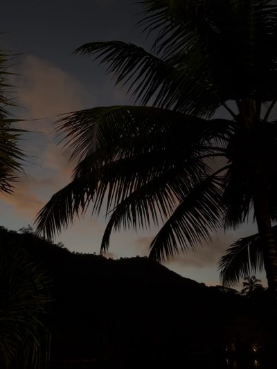 Kempinski Resort Seychelles — фото погоды в январе (2026-01-17)