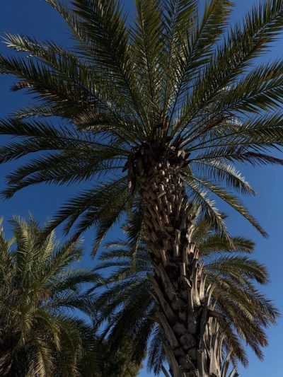 En Vie Beach Boutique Hotel — фото погоды в марте (2026-03-07)