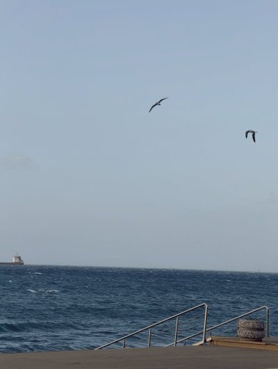 Çeşme-Çiflikköy в январе — фото погоды (2026-01-11)