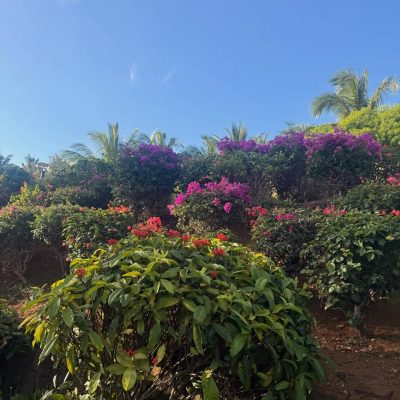 Anahita Golf Club Mauritius в ноябре — фото погоды (2025-11-20)