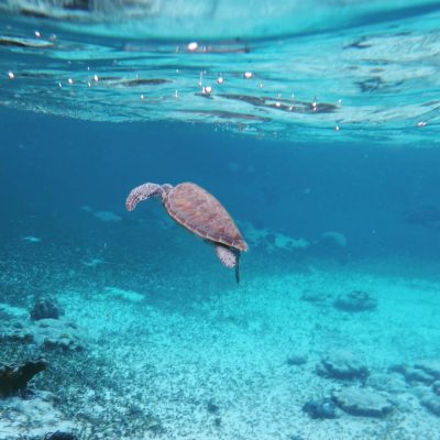 Hol Chan Reef, Ambergris Caye, Belize в июле — фото погоды (2025-07-31)