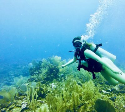 Hol Chan Reef, Ambergris Caye, Belize в августе — фото погоды (2025-08-26)