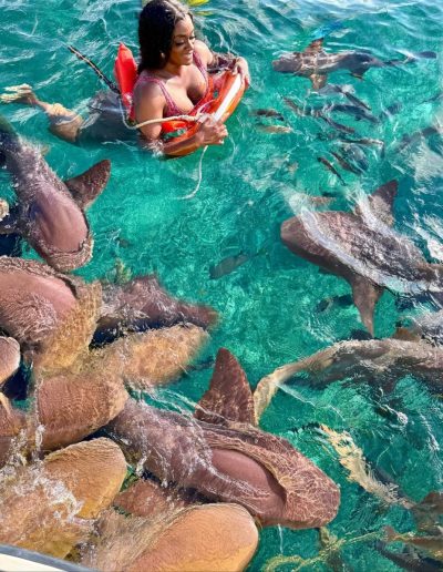 Hol Chan Reef, Ambergris Caye, Belize в ноябре — фото погоды (2025-11-18)