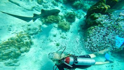 Hol Chan Reef, Ambergris Caye, Belize в апреле — фото погоды (2026-04-30)