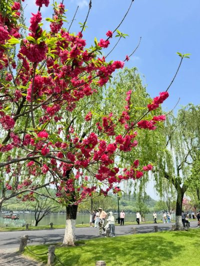 West Lake, Hangzhou, China в апреле — фото погоды (2026-04-24)