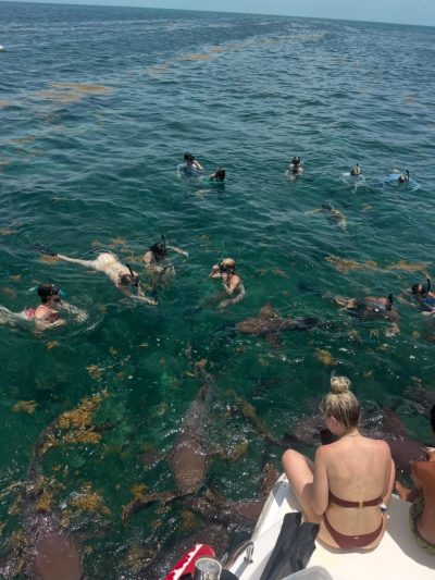 Belize Barrier Reef в ноябре — фото погоды (2025-11-27)