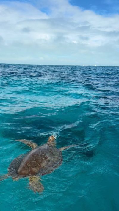 Belize Barrier Reef в январе — фото погоды (2026-01-17)