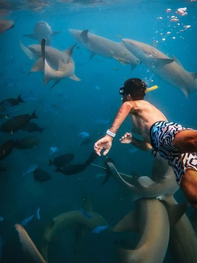 Rasdhoo Madivaru - Dive Site в августе — фото погоды (2025-08-23)