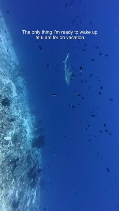 Rasdhoo Madivaru - Dive Site в апреле — фото погоды (2026-04-28)