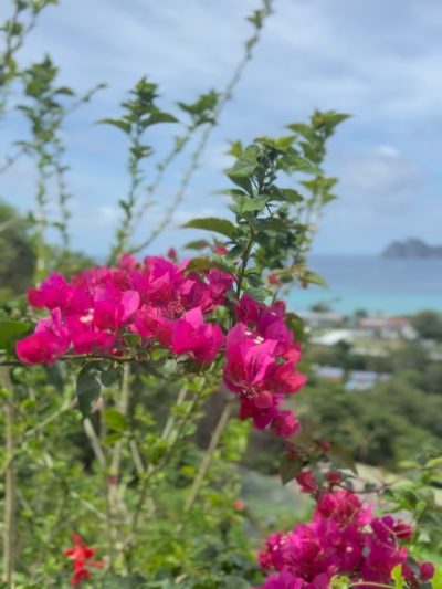 Phi Phi Viewpoint 2 в мае — фото погоды (2026-05-15)