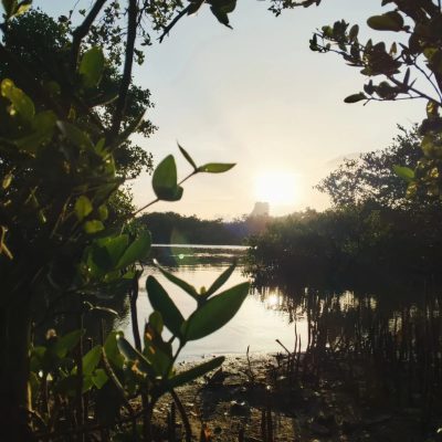 La Caracola, Isla De Margarita в августе — фото погоды (2025-08-24)