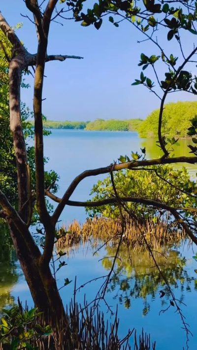 La Caracola, Isla De Margarita в январе — фото погоды (2026-01-29)