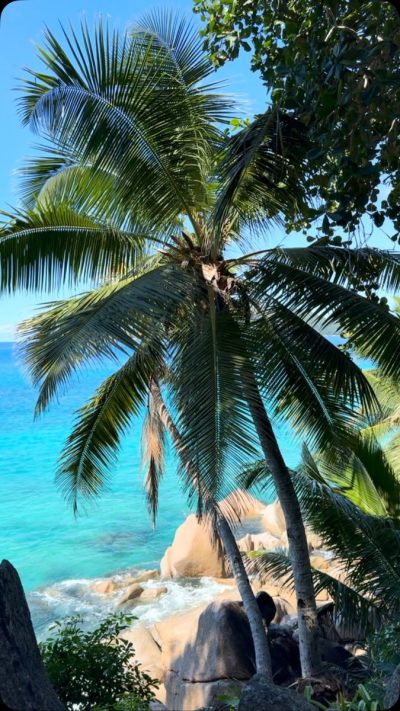 Seychelles Islands, Indian Ocean в июле — фото погоды (2026-07-11)