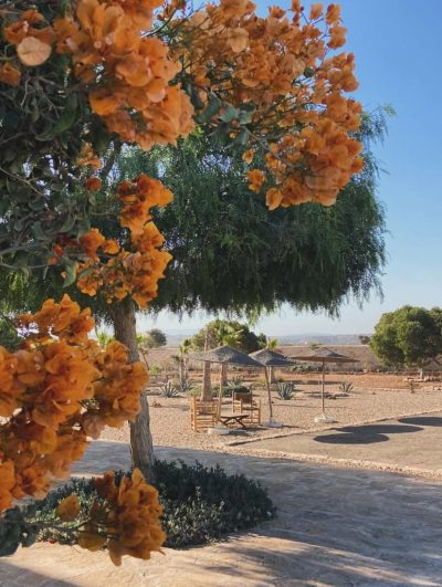 Sidi Kaouki в августе — фото погоды (2025-08-31)