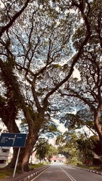 Universiti Sains Malaysia - USM Penang в июле — фото погоды (2026-07-05)